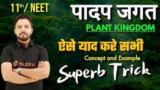 Plant Kingdom पादप जगत  Plant Kingdom Concept and Example  11th NEET Biology  Yogesh sir [upl. by Aniral]