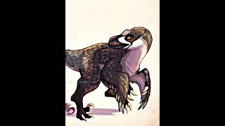 Acheroraptor vs Archaeopteryx [upl. by Claudelle]