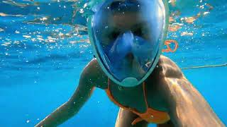 Red Sea snorkeling in Sharm El Sheikh Egypt 2022 [upl. by Jr]