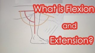 What is Flexion and Extension [upl. by Wooster312]