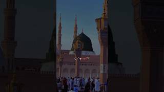 Meray MOULA naat love naatsharif islam [upl. by Vallonia]