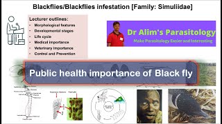 Medical importance of Black flyPublic health importance of Black fly [upl. by Notsud]