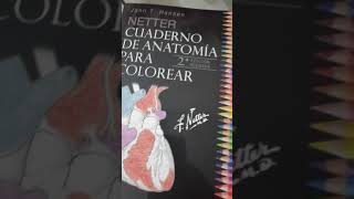 Cuaderno de Anatomía para colorear [upl. by Olga86]