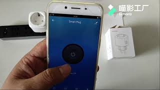 Smart Plug WiFi Socket EU 16A Power Monitor Timing Tuya APP Control Work With Alexa Google Assistant [upl. by Lepley]