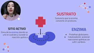 ENZIMA SUSTRATO Y SITIO ACTIVO CATÁLISIS ENZIMÁTICA MODELO LLAVE  CERRADURA Y AJUSTE INDUCIDO [upl. by Rihsab]