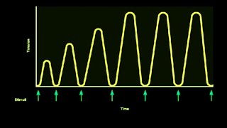 STAIRCASE PHENOMENON  CAUSES OF STAIRCASE PHENOMENON  TREPPE [upl. by Verina]