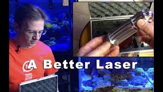 Powerful Laser for Aiptasia Removal in a Reef Tank [upl. by Rukna]