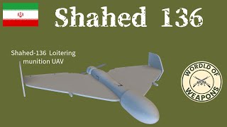 Shahed 136 🇮🇷 Iranian ingenuity at the service of destruction [upl. by Ertha237]