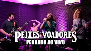 Peixes Voadores  Pedrado Ao Vivo [upl. by Maxy]