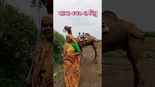 youtubeshorts gujrati shortvideos viralvideo varshaofficial newvlog varsha007 villagelife [upl. by Dorfman]