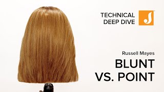 Point Cutting vs Blunt Cutting A Technical Deep Dive Hair Tutorial [upl. by Christabella]