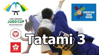 Cadet European Judo Cup Bielsko Biała 21 05 2017 Tatami III [upl. by Eimyaj]