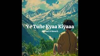 Ye Tune Kya Kiya Slowed amp Reverb Javed Bashir [upl. by Abagael]