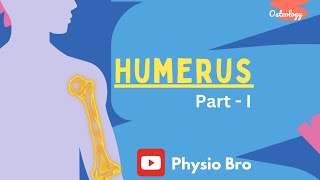 Humerus Part1 [upl. by Eillime37]