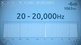 20  20000 Hz Audio Sweep  Range of Human Hearing [upl. by Innob]