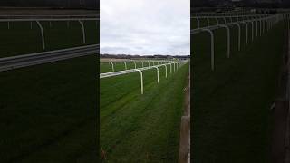 Musselburgh Racecourse Horse Racing shorts musselburgh racecourse horseracing sports flatrace [upl. by Aytnahs]