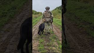 Мотивирующий милитари эдит k9unit tactical fyp teamwork TimeTreninG k9unit k9softiktok k9 [upl. by Nona]