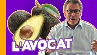 🥑LAvocat  AlimentMiracle ou Réserve de Graisses  JeanMichel Cohen [upl. by Armilda366]