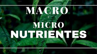 MACRO Y MICRONUTRIENTES PARA NUESTRAS PLANTAS NPK [upl. by Aivatnohs228]