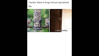 Things that are highpitched roomieofficial shorts funny memes [upl. by Lucic]