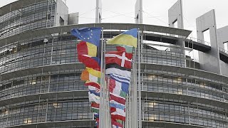 Quali sono i poteri del Parlamento europeo [upl. by Leahcimauhsoj]