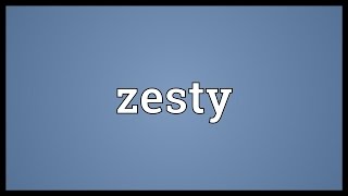 Zesty Meaning [upl. by Teplica]