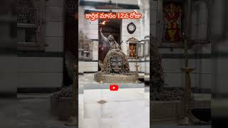 Hara Har Mahadev Shambo Sankara trambkeshwar varanasi shorts short shortvideo shortsfeed love [upl. by Australia]