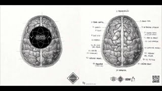 Comentando el disco DÓLARES MENTALES de FOYONE Análisis significados ocultos HELENA SOTOM [upl. by Llednyl]