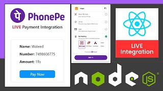 Live PhonePe Payment Gateway API Integration with Nodejs amp Reactjs  Hindi  Standard Checkout API [upl. by Tzong]