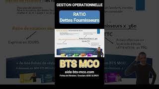 Calculer le ratio des Dettes Fournisseurs  BFR en BTS MCO [upl. by Samuela291]