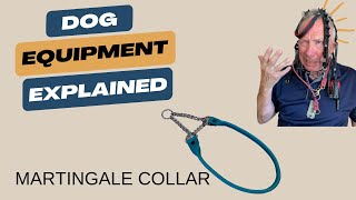 Choosing the Right Collar The Martingale Collar for Dog Safety and Comfort [upl. by Segal]