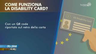 Disability card cos’è e come funziona Ministro Stefani quotMisura di semplificazionequot [upl. by Corkhill]