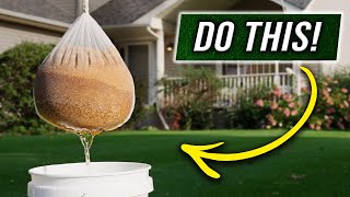 The FASTEST way to Grow Grass Seed [upl. by Eecrad890]