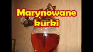 Marynowane kurki  Kwestia Smaku [upl. by Enaelem251]