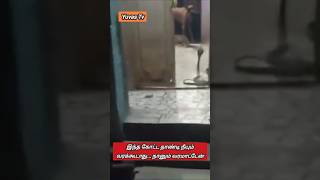 தடுத்து நிறுத்திய வளர்ப்பு நாய்கள் dog shorts doglover dogs dogshorts doglife [upl. by Rocco]