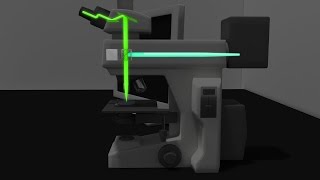 Fluorescence Microscopy Animation [upl. by Dragde]