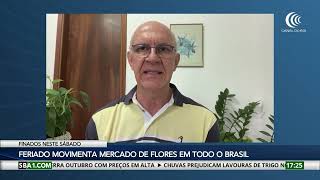 Feriado de Finados movimenta mercado de flores em todo o Brasil [upl. by Briggs]