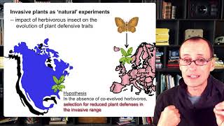 Week 5  Video 5  Plant Insect micro coevolution [upl. by Aramit]