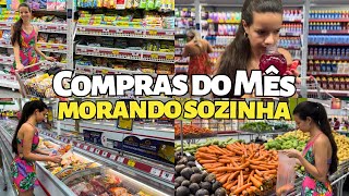 COMPRAS DO MÊS MORANDO SOZINHA 🛒❤️  QUANTO GASTEI 🤑 [upl. by Egerton528]