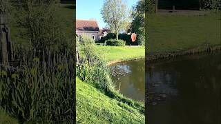 Morgens in Kamperland nederlands holidayhomes northsea shortsvideo [upl. by Nekal]