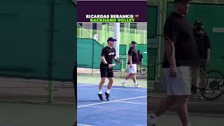 BERANKIS BACKHAND VOLLEY PRACTICE tennis shorts [upl. by Ytsirk]