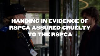 HANDING IN EVIDENCE OF RSPCA ASSURED CRUELTY TO THE RSPCA [upl. by Swagerty335]