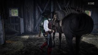 RDR2 online is deadNaturalist challenge is not workingStable s sucks [upl. by Anasxor]