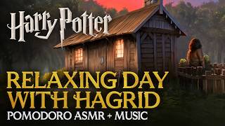 Harry Potter Pomodoro Relaxed Study Session with Hagrid 🛖🌳 Hogwarts ASMR Sounds to Concentrate [upl. by Phelips452]