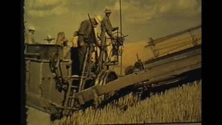 HorseDrawn Combine 1938 [upl. by Bondon195]