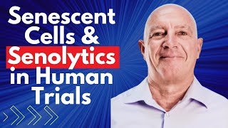 Senescent Cell amp Senolytics in Human Trials  Dr Greg Kelly Clips [upl. by Ezalb]