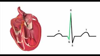 CTCAG Part 5 ECG gating [upl. by Marozas]