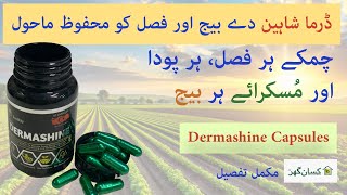 Dermashine is a Trichoderma Türkiye recipe acts as a bio Fungicides bio fertilizer for all plants [upl. by Altman48]