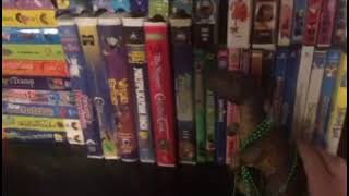 Overview of My VHS DVD amp Blu Ray Collection 2022 Edition [upl. by Eudoxia704]