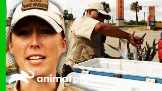 Fish And Game Warden A Career Guide All You Need To Know [upl. by Maurer942]